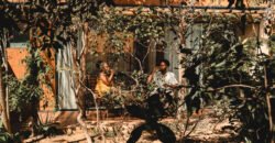 Vende-se Casa + 3 Chalés Encantador, em Alto Paraíso de Goiás