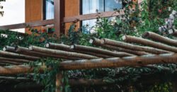 Vende-se Casa + 3 Chalés Encantador, em Alto Paraíso de Goiás