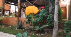 Vende-se Casa + 3 Chalés Encantador, em Alto Paraíso de Goiás