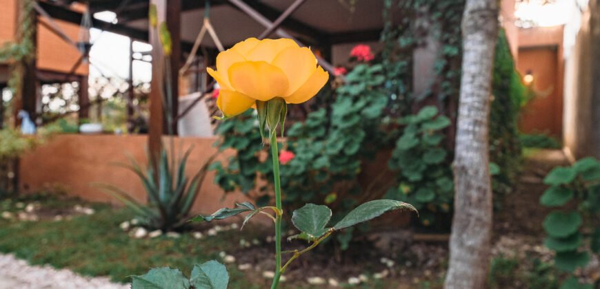 Vende-se Casa + 3 Chalés Encantador, em Alto Paraíso de Goiás