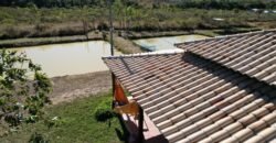 Chácara 4ha – 16km sentido São Jorge – Morro da Baleia -Chapada dos Veadeiros – 100% escriturado Chácara 4ha – 16km sentido São Jorge – Morro da Baleia -Chapada dos Veadeiros – 100% escriturado