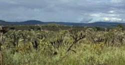 Linda Chácara 4 ha – Paraíso dos Pandavas, Alto Paraíso de Goiás