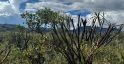 Linda Chácara 4 ha – Paraíso dos Pandavas, Alto Paraíso de Goiás