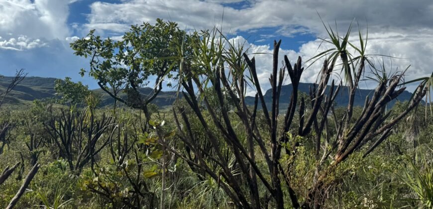 Linda Chácara 4 ha – Paraíso dos Pandavas, Alto Paraíso de Goiás