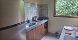 Aluga-se Apartamento – Mobiliado – Alto Paraíso de Goiás Aluga-se Apartamento – Mobiliado – Alto Paraíso de Goiás