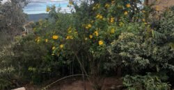 Chale + Lote 1.049m2 – Vista Permanete -Eldorado – Alto Paraíso de Goiás Chale + Lote 1.049m2 – Vista Permanete -Eldorado – Alto Paraíso de Goiás