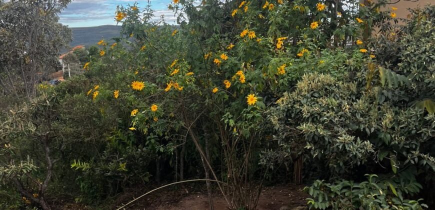 Chale + Lote 1.049m2 – Vista Permanete -Eldorado – Alto Paraíso de Goiás