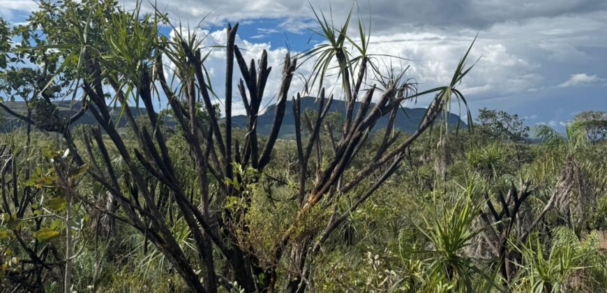 Linda Chácara 4 ha – Paraíso dos Pandavas, Alto Paraíso de Goiás