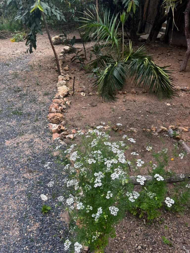 Chale + Lote 1.049m2 – Vista Permanete -Eldorado – Alto Paraíso de Goiás