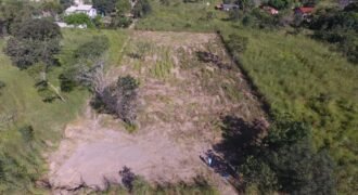 Lote 3.000m2 Cavalcante – Regularidado – Chapada dos Veadeiros Lote 3.000m2 Cavalcante – Regularidado – Chapada dos Veadeiros