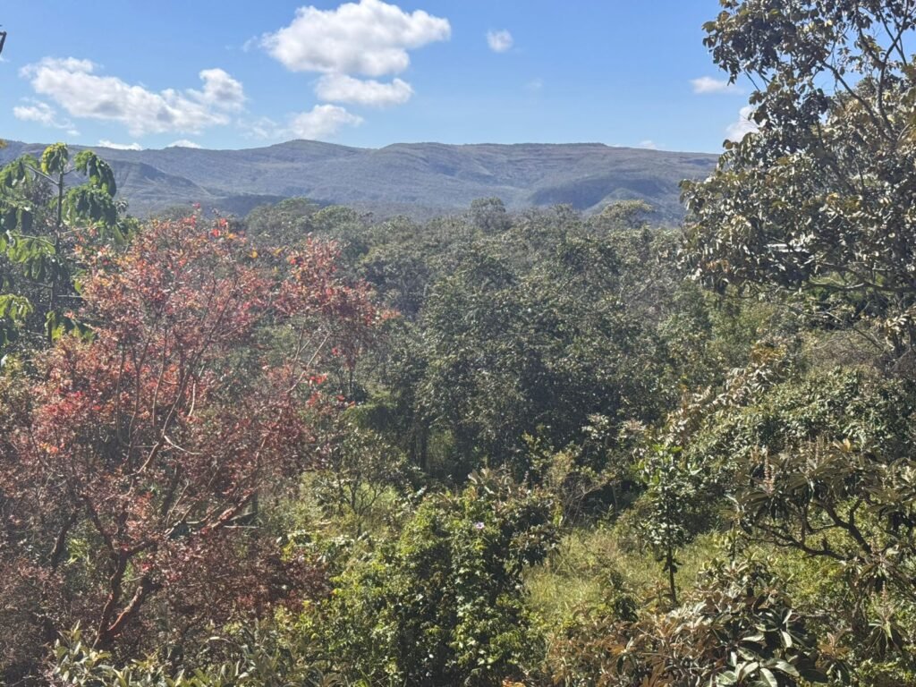 Chale + Lote 1.049m2 – Vista Permanete -Eldorado – Alto Paraíso de Goiás