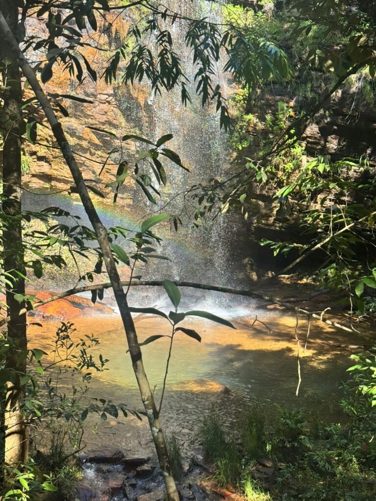 Fazenda 695ha – Nascente – Cachoeira – aprox. 23 km de Alto Paraíso de Goiás, 100% Documentada