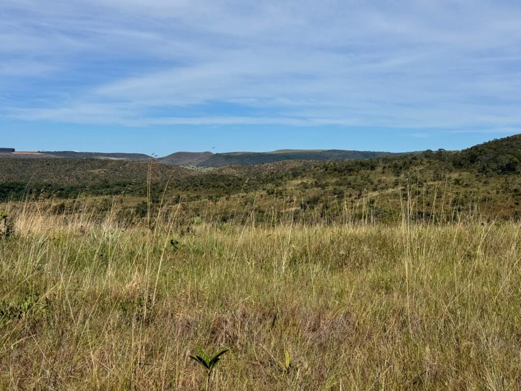 Fazenda 695ha – Nascente – Cachoeira – aprox. 23 km de Alto Paraíso de Goiás, 100% Documentada
