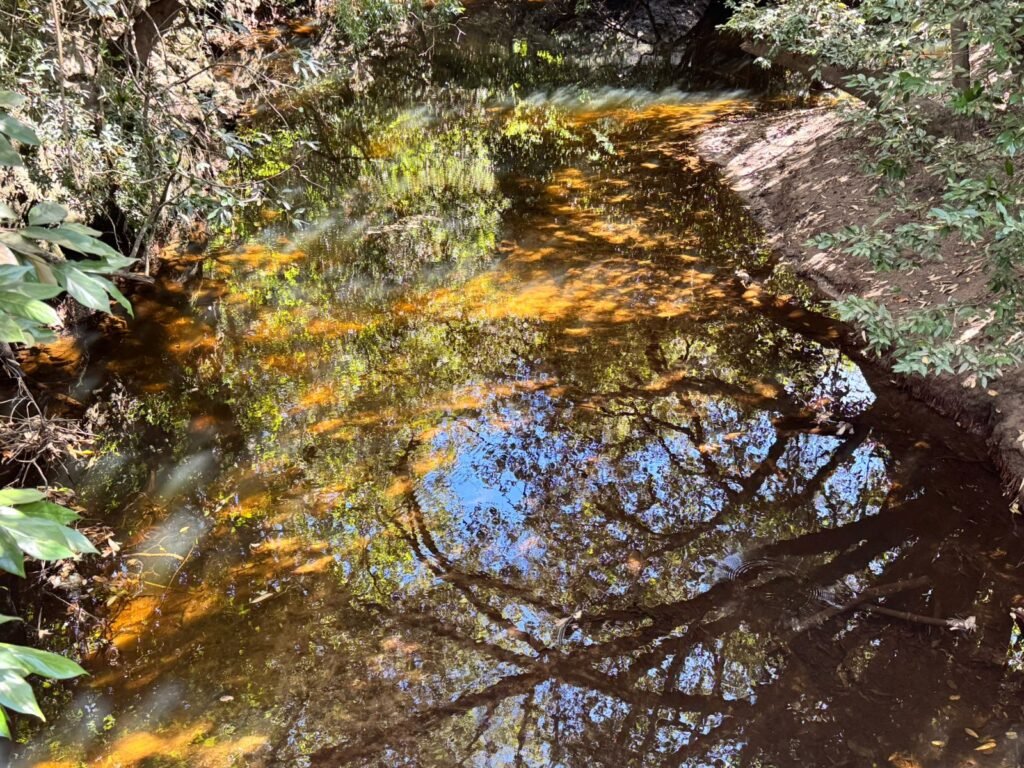 Fazenda 695ha – Nascente – Cachoeira – aprox. 23 km de Alto Paraíso de Goiás, 100% Documentada