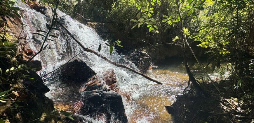 Fazenda 695m – Nascente – Cachoeira – aprox. 23 km de Alto Paraíso de Goiás, 100% Documentada
