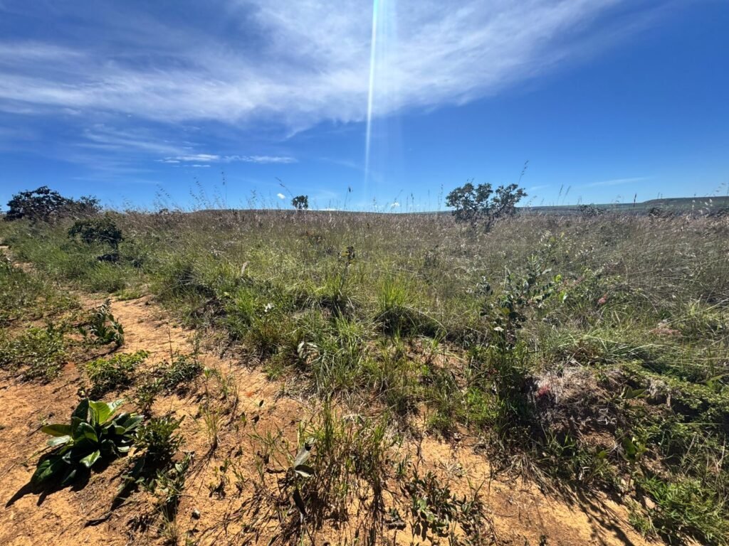 Fazenda 695ha – Nascente – Cachoeira – aprox. 23 km de Alto Paraíso de Goiás, 100% Documentada