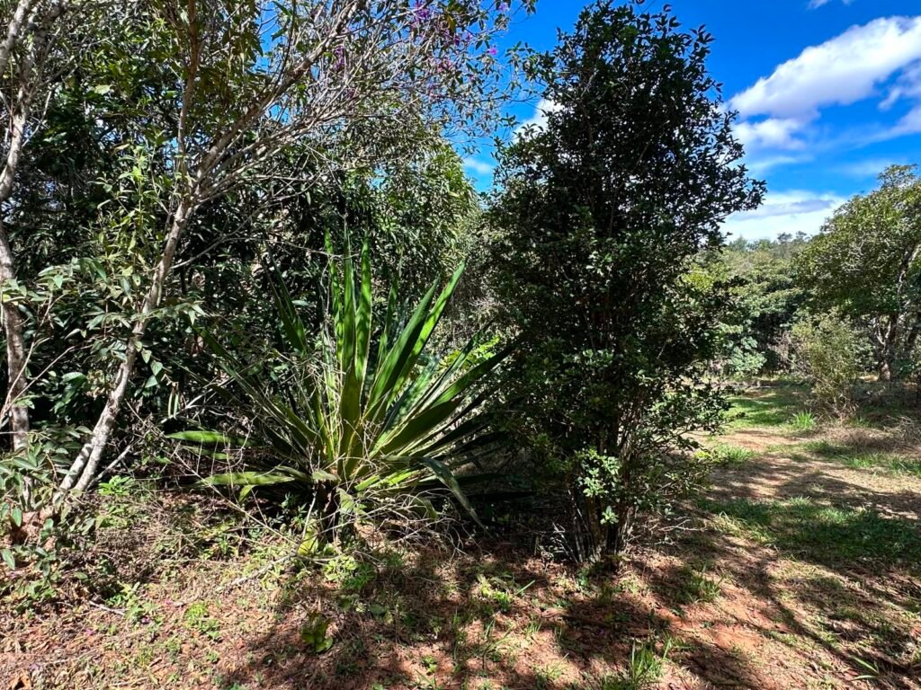 Lote 830m2 – Rio – Moinho – Alto Paraíso de Goiás