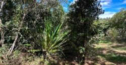 Lote 830m2 – Rio – Moinho – Alto Paraíso de Goiás