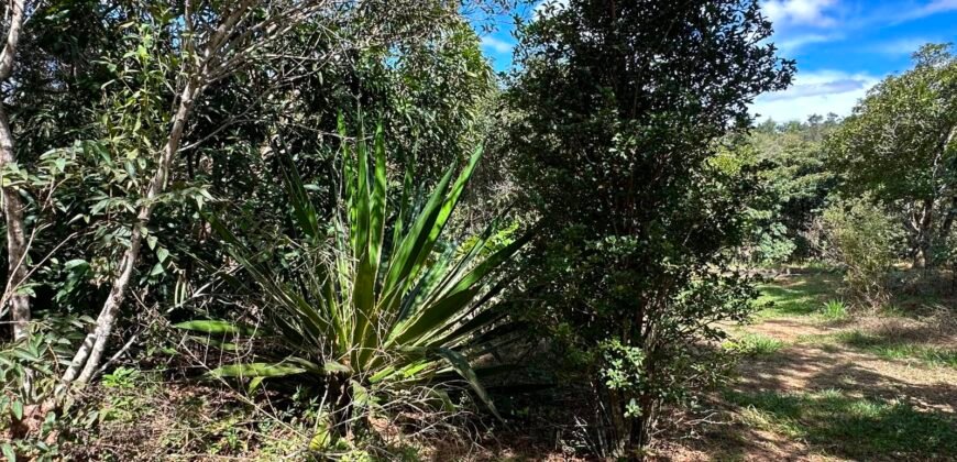 Lote 830m2 – Rio – Moinho – Alto Paraíso de Goiás