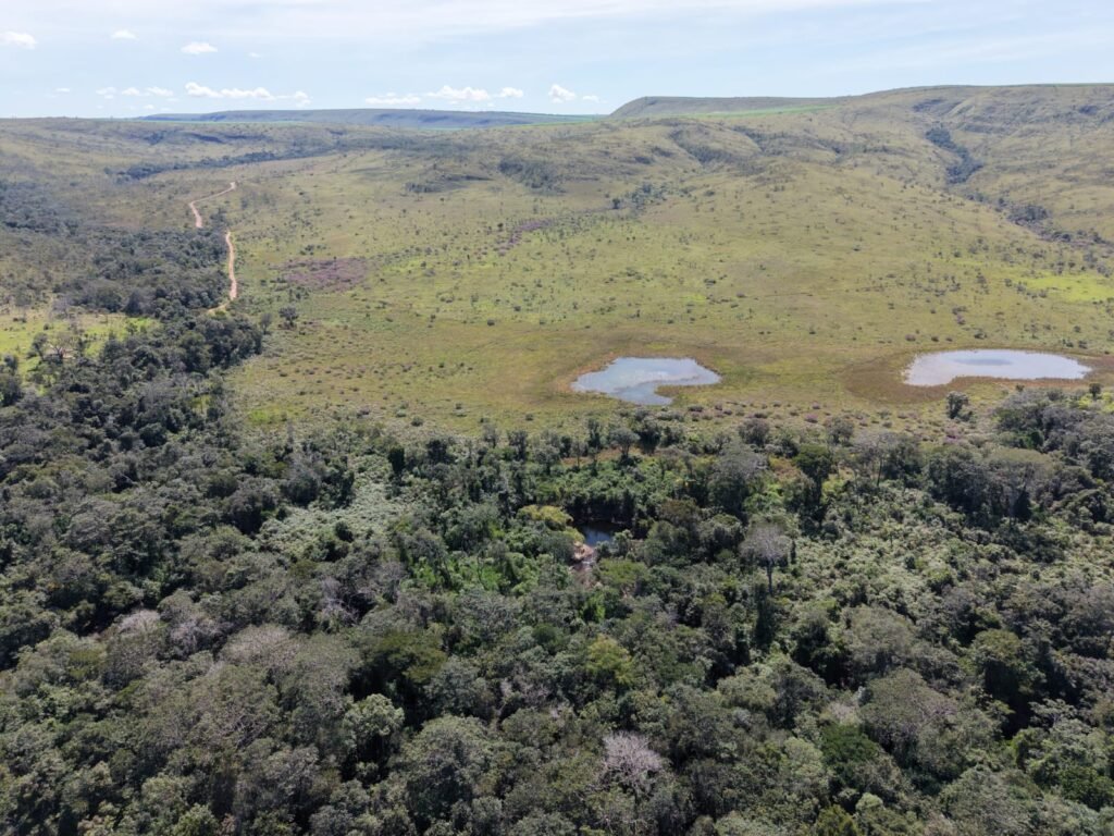 Fazenda 695ha – Nascente – Cachoeira – aprox. 23 km de Alto Paraíso de Goiás, 100% Documentada