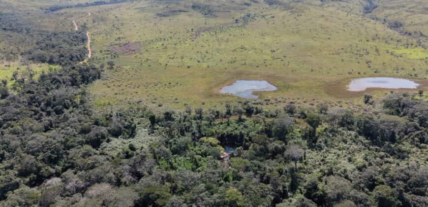 Fazenda 695m – Nascente – Cachoeira – aprox. 23 km de Alto Paraíso de Goiás, 100% Documentada