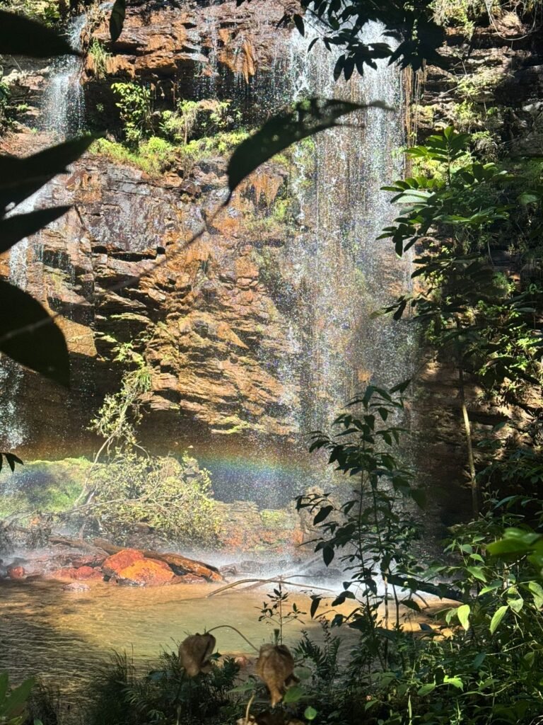 Fazenda 695ha – Nascente – Cachoeira – aprox. 23 km de Alto Paraíso de Goiás, 100% Documentada