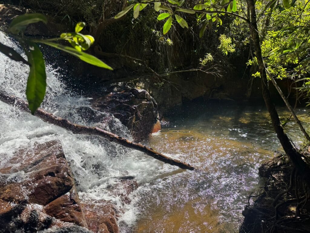 Fazenda 695ha – Nascente – Cachoeira – aprox. 23 km de Alto Paraíso de Goiás, 100% Documentada
