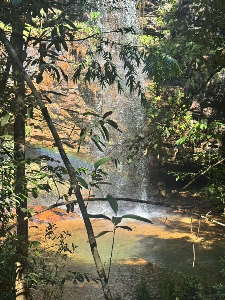 Fazenda 695ha – Nascente – Cachoeira – aprox. 23 km de Alto Paraíso de Goiás, 100% Documentada