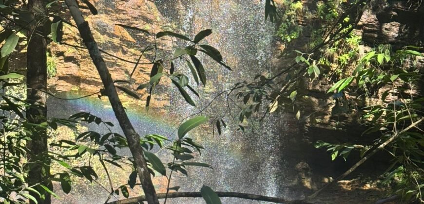 Fazenda 695m – Nascente – Cachoeira – aprox. 23 km de Alto Paraíso de Goiás, 100% Documentada