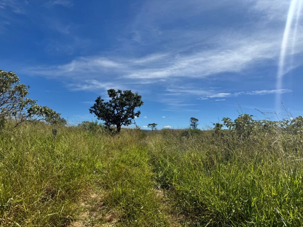 Fazenda 695ha – Nascente – Cachoeira – aprox. 23 km de Alto Paraíso de Goiás, 100% Documentada