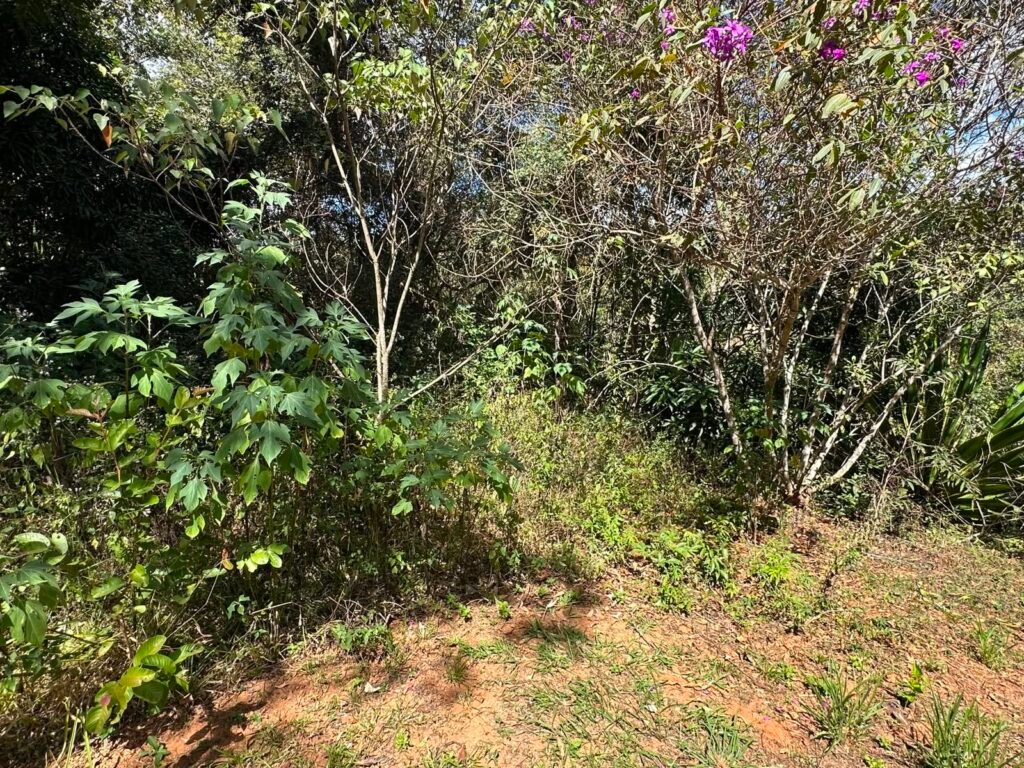 Lote 830m2 – Rio – Moinho – Alto Paraíso de Goiás