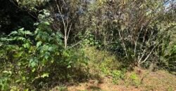 Lote 830m2 – Rio – Moinho – Alto Paraíso de Goiás