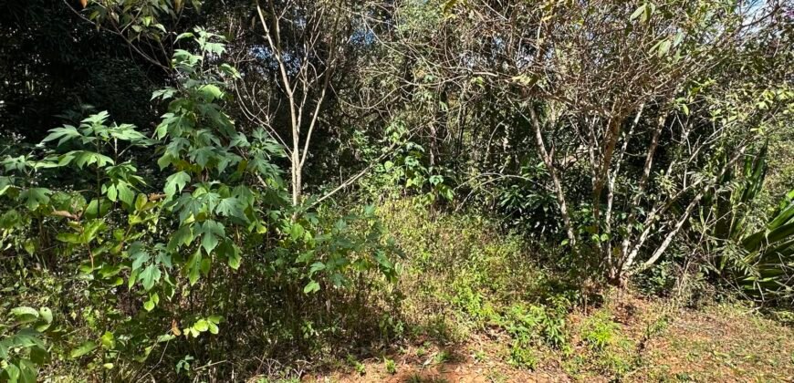 Lote 830m2 – Rio – Moinho – Alto Paraíso de Goiás