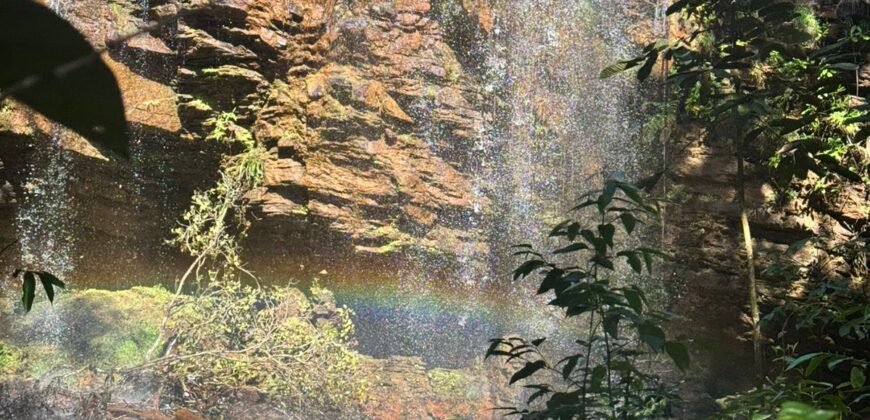 Fazenda 695m – Nascente – Cachoeira – aprox. 23 km de Alto Paraíso de Goiás, 100% Documentada