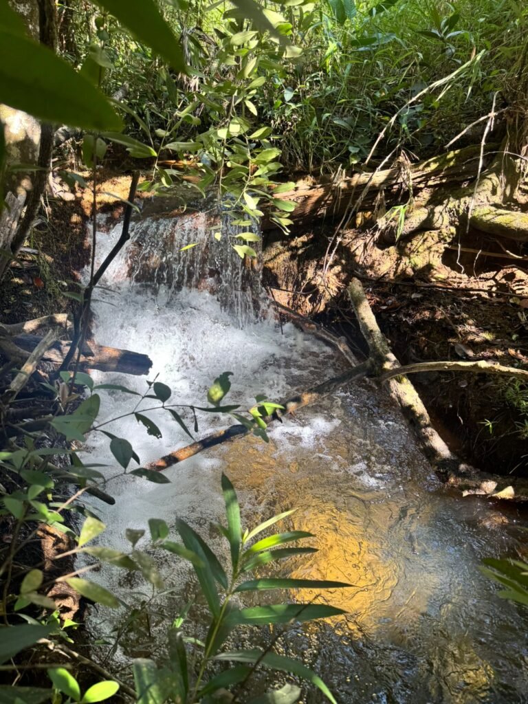 Fazenda 695ha – Nascente – Cachoeira – aprox. 23 km de Alto Paraíso de Goiás, 100% Documentada