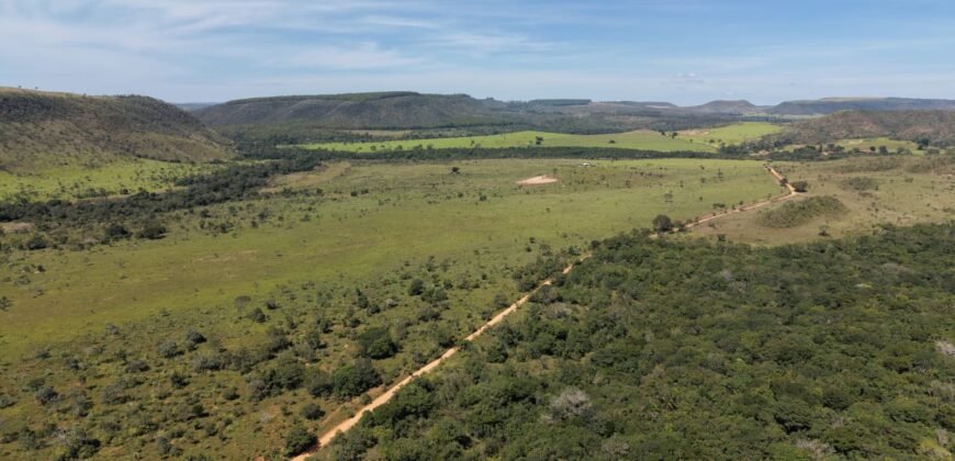 Fazenda 695m – Nascente – Cachoeira – aprox. 23 km de Alto Paraíso de Goiás, 100% Documentada