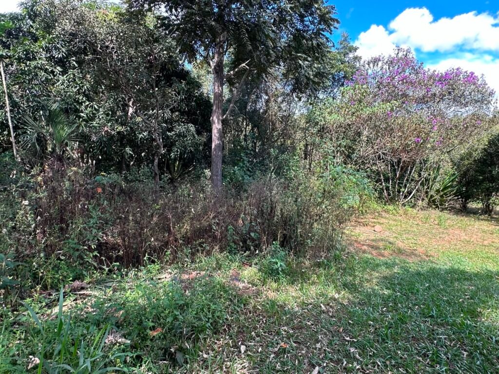 Lote 830m2 – Rio – Moinho – Alto Paraíso de Goiás