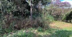 Lote 830m2 – Rio – Moinho – Alto Paraíso de Goiás