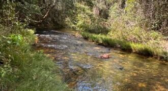 Lote 830m2 – Rio – Moinho – Alto Paraíso de Goiás Lote 830m2 – Rio – Moinho – Alto Paraíso de Goiás