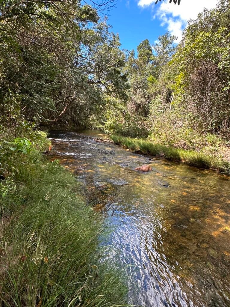 Lote 830m2 – Rio – Moinho – Alto Paraíso de Goiás