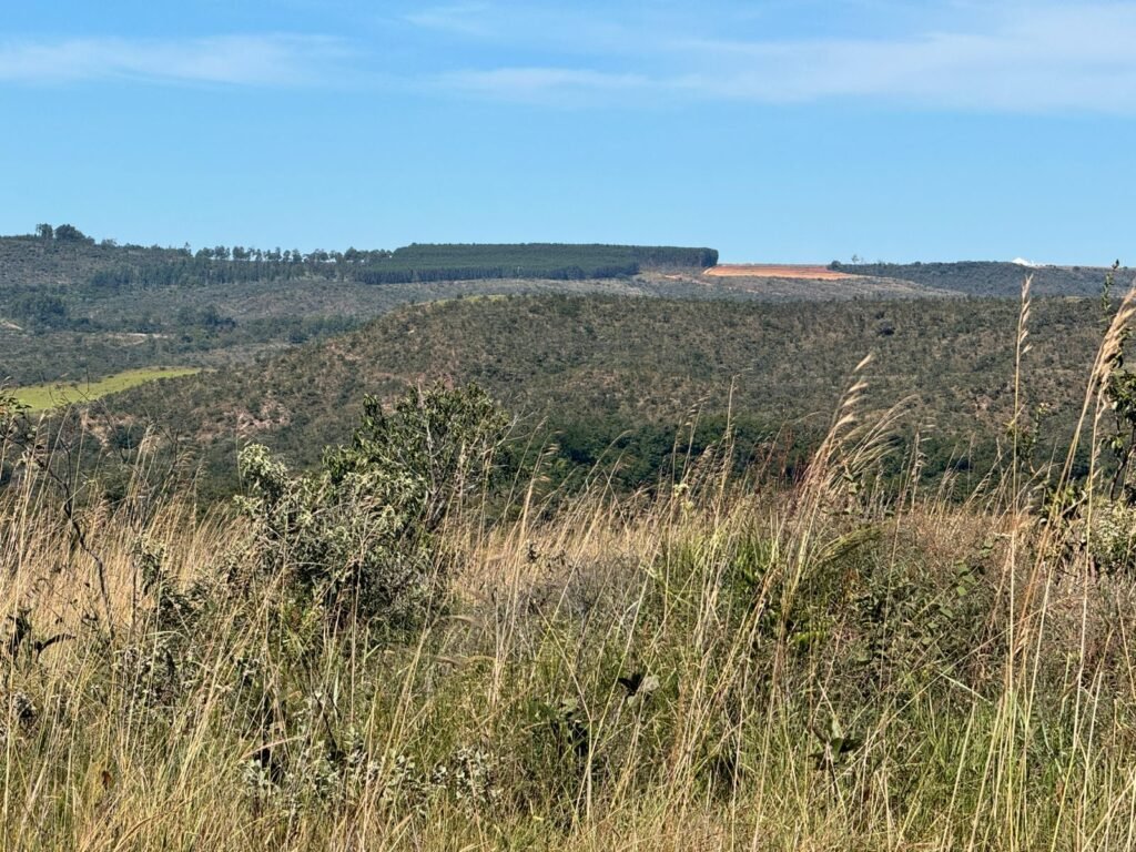 Fazenda 695ha – Nascente – Cachoeira – aprox. 23 km de Alto Paraíso de Goiás, 100% Documentada