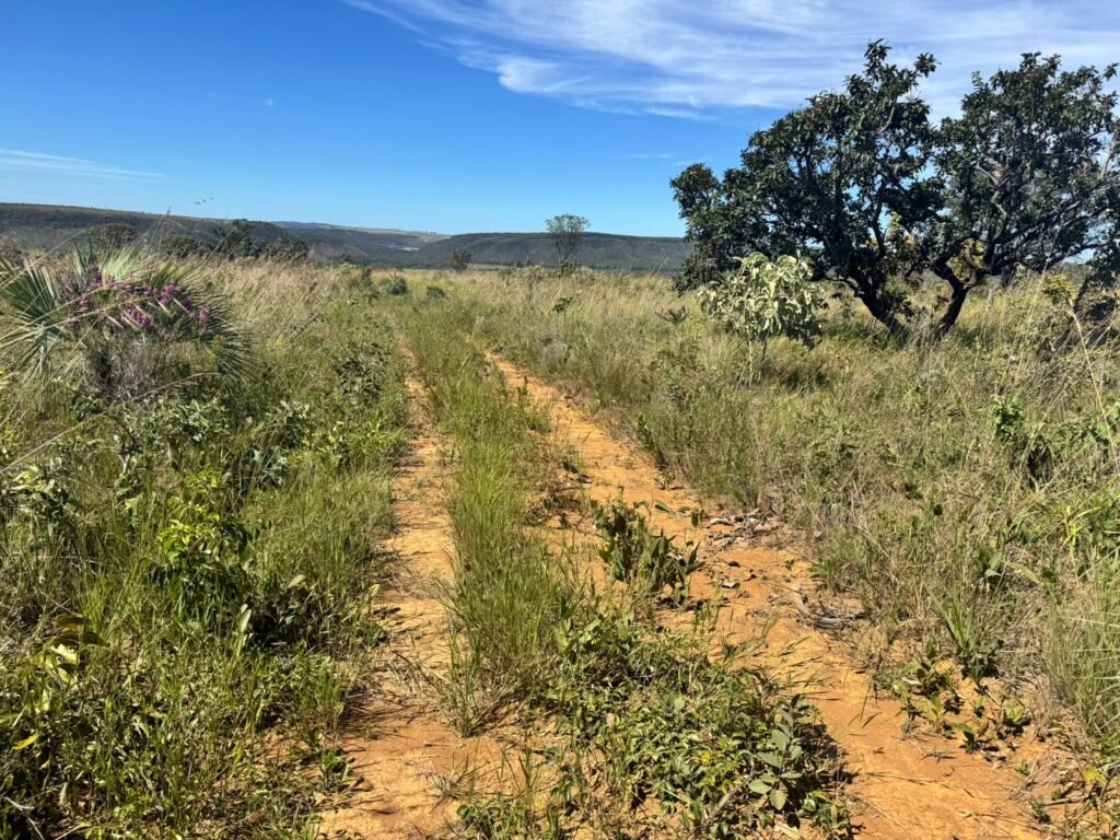 Fazenda 695ha – Nascente – Cachoeira – aprox. 23 km de Alto Paraíso de Goiás, 100% Documentada