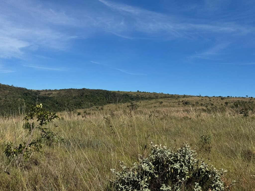 Fazenda 695ha – Nascente – Cachoeira – aprox. 23 km de Alto Paraíso de Goiás, 100% Documentada