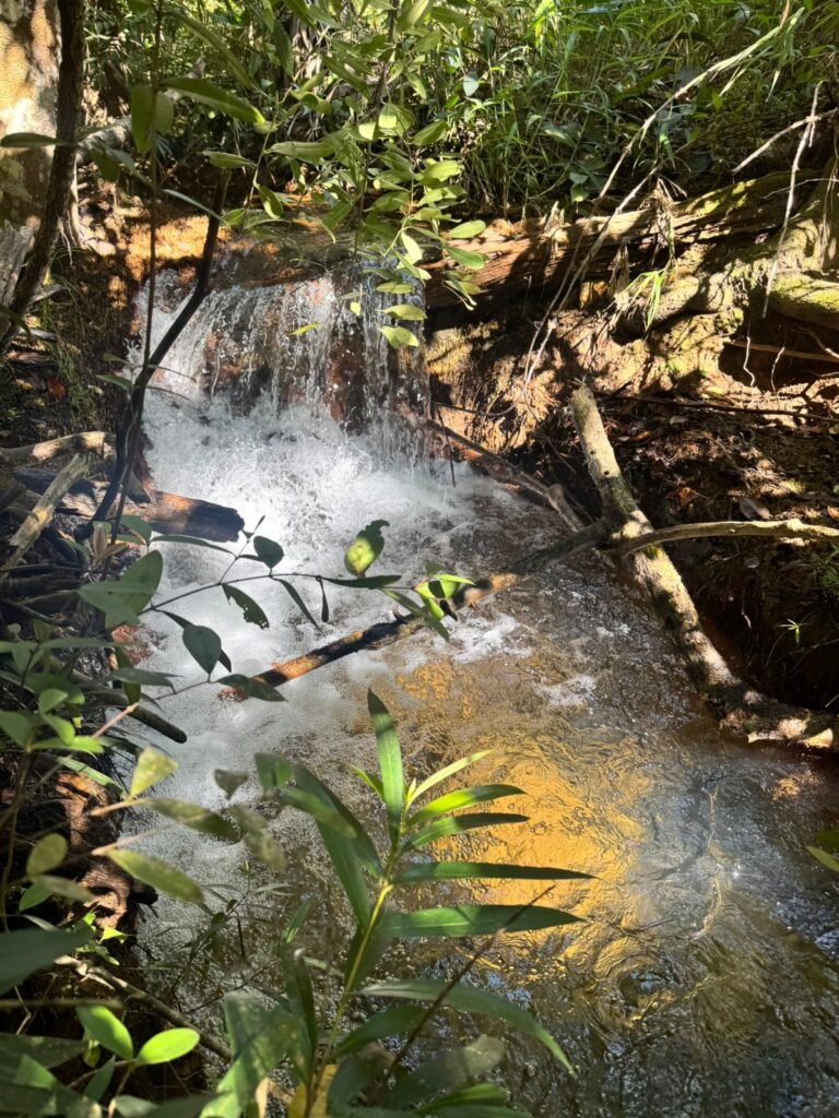 Fazenda 695ha – Nascente – Cachoeira – aprox. 23 km de Alto Paraíso de Goiás, 100% Documentada