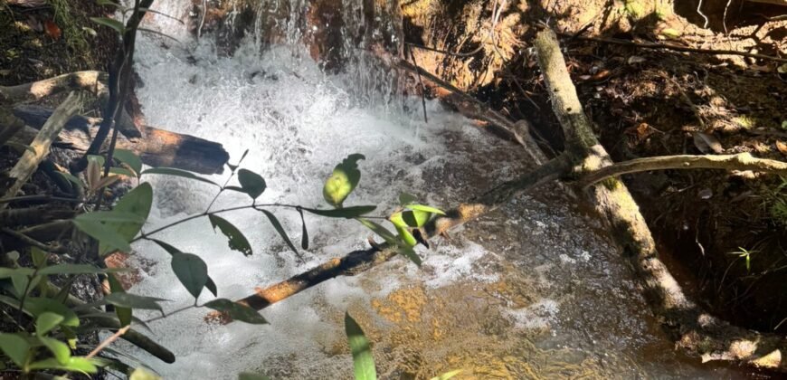 Fazenda 695m – Nascente – Cachoeira – aprox. 23 km de Alto Paraíso de Goiás, 100% Documentada
