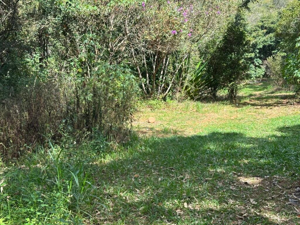 Lote 830m2 – Rio – Moinho – Alto Paraíso de Goiás