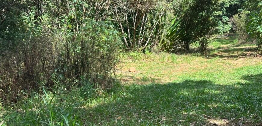Lote 830m2 – Rio – Moinho – Alto Paraíso de Goiás