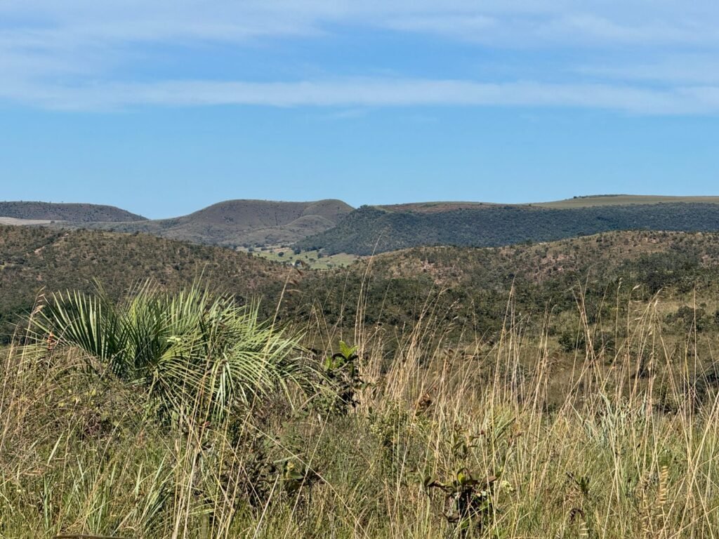Fazenda 695ha – Nascente – Cachoeira – aprox. 23 km de Alto Paraíso de Goiás, 100% Documentada