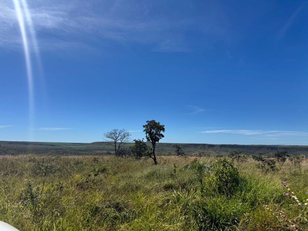 Fazenda 695ha – Nascente – Cachoeira – aprox. 23 km de Alto Paraíso de Goiás, 100% Documentada