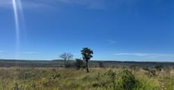 Fazenda 695m – Nascente – Cachoeira – aprox. 23 km de Alto Paraíso de Goiás, 100% Documentada Fazenda 695m – Nascente – Cachoeira – aprox. 23 km de Alto Paraíso de Goiás, 100% Documentada